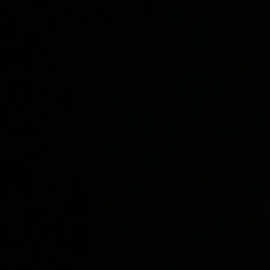 Meet your Posher, Mia